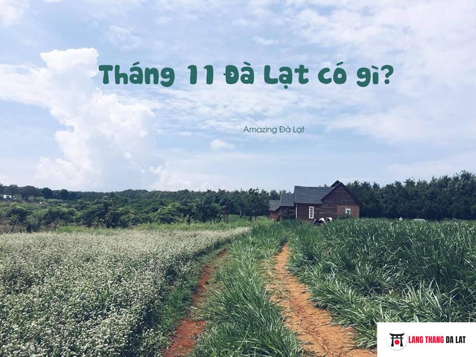 Đà Lạt tháng 11