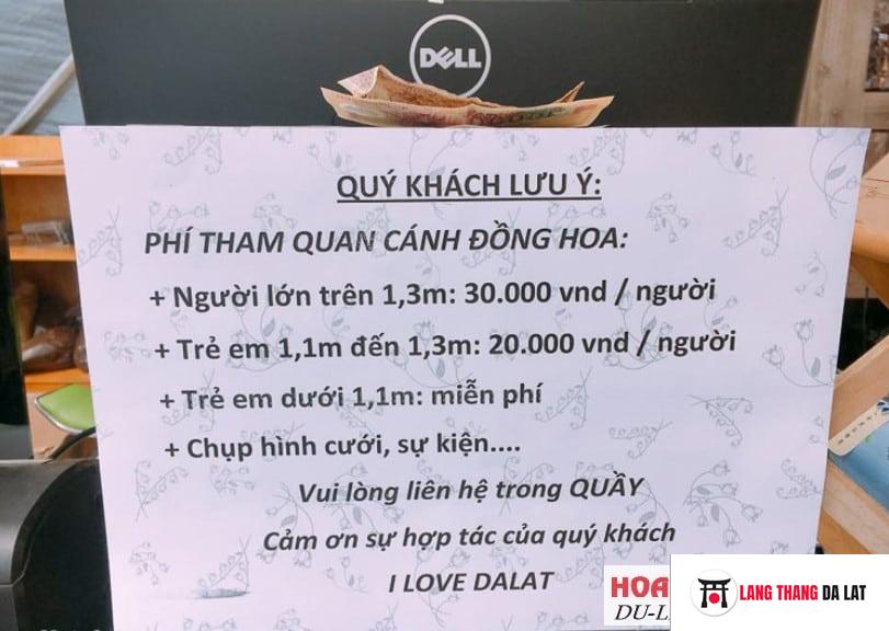 Giá vé F cánh đồng hoa Đà lạt