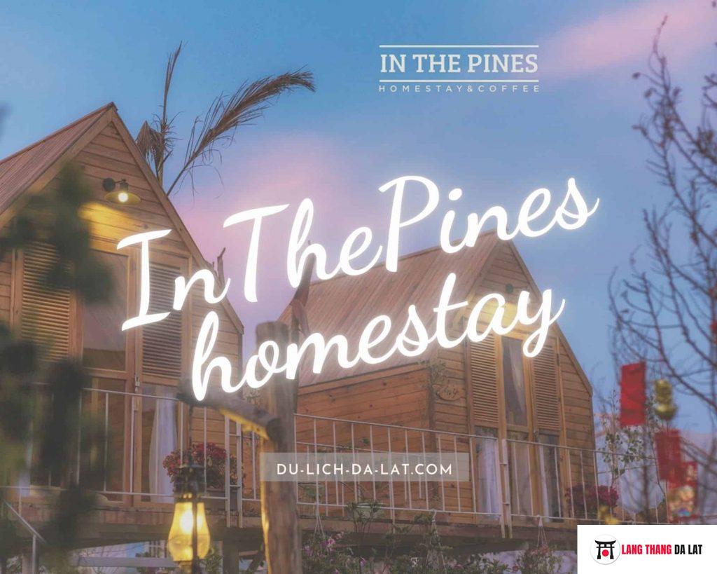 InThePines homestay