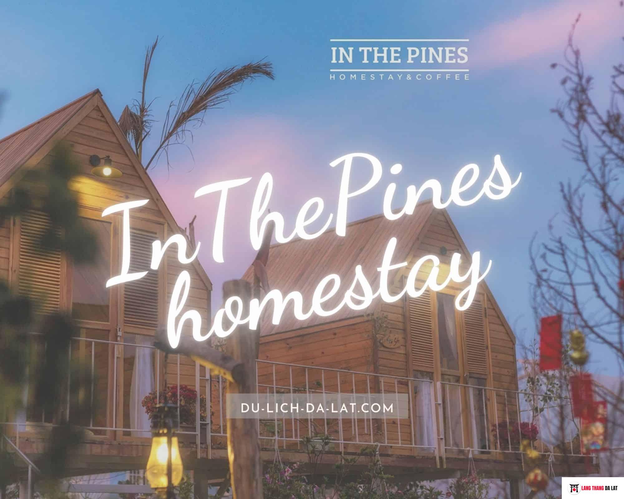 InThePines Homestay Dalat – Nơi thư giãn cực chill giữa Đà Lạt