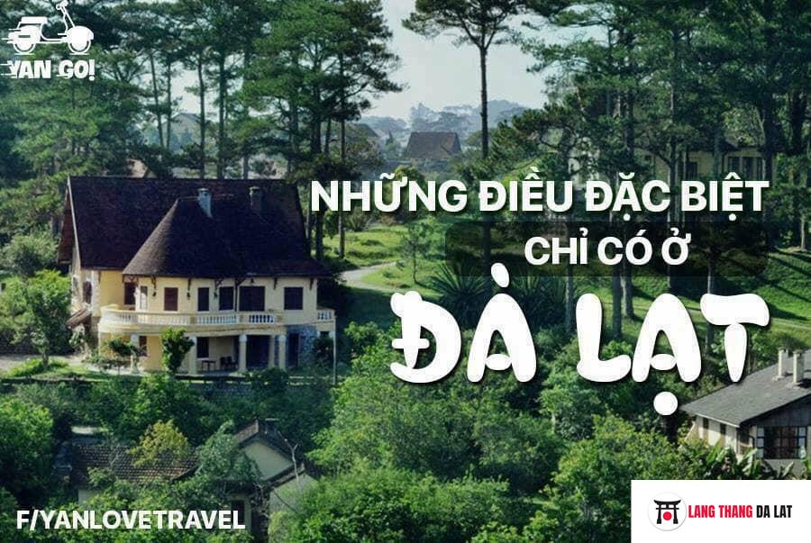 Khách sạn, resort, homestay, nhà nghỉ Đà Lạt