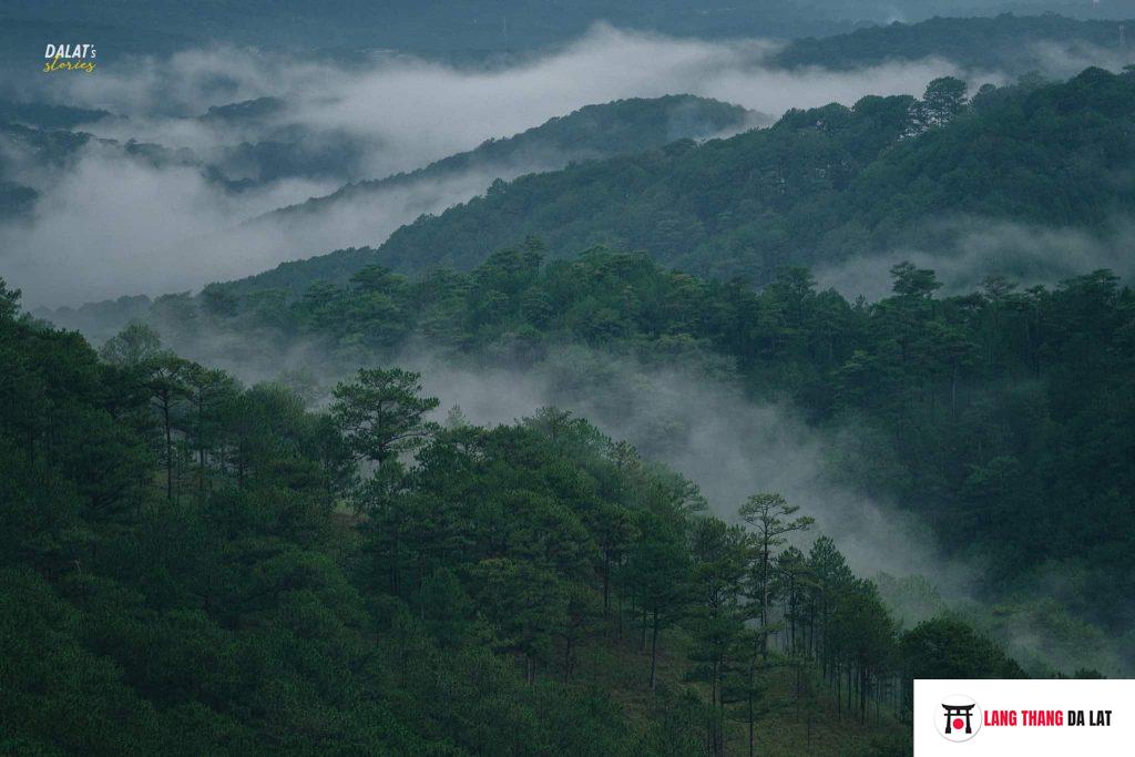 Khí hậu Đà Lạt