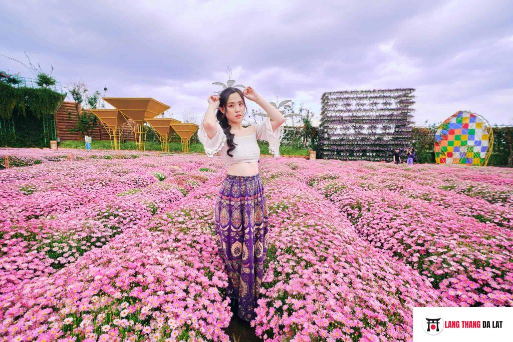 khu vườn hoa ở fresh garden