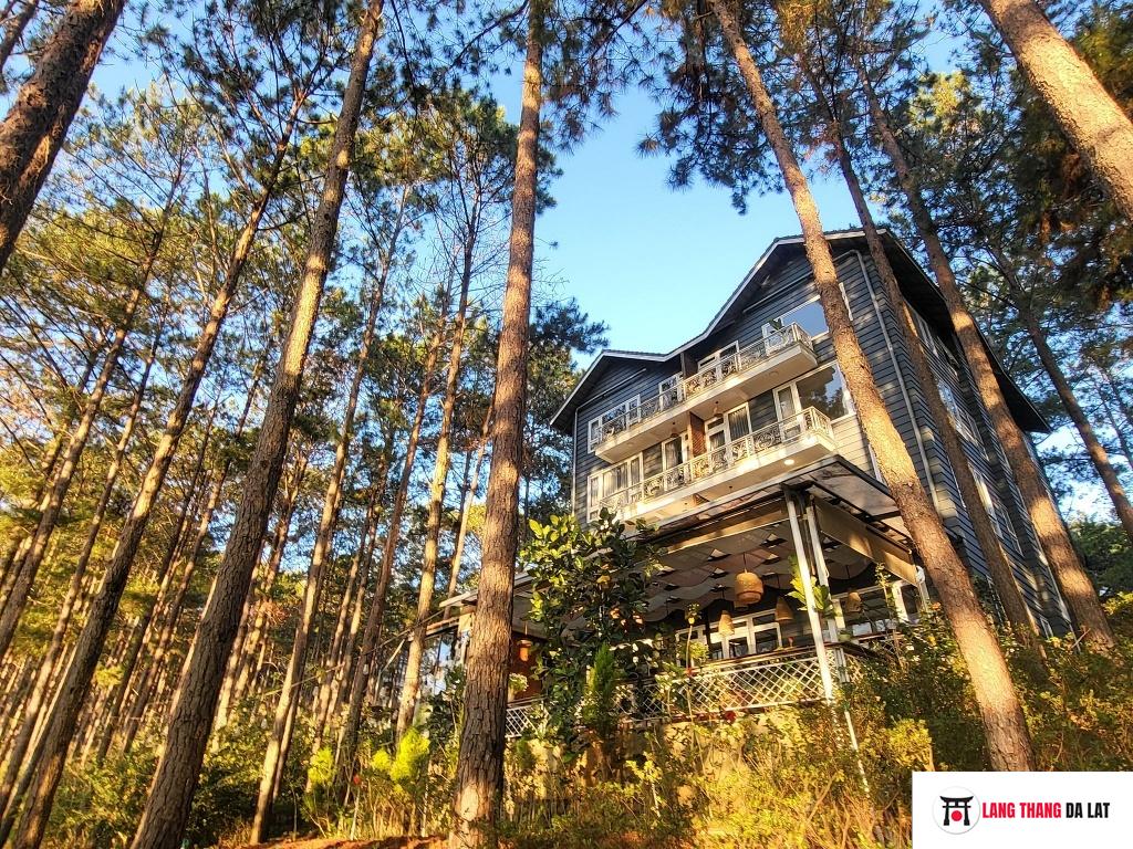 Lakeside Villa Dalat - phía sau