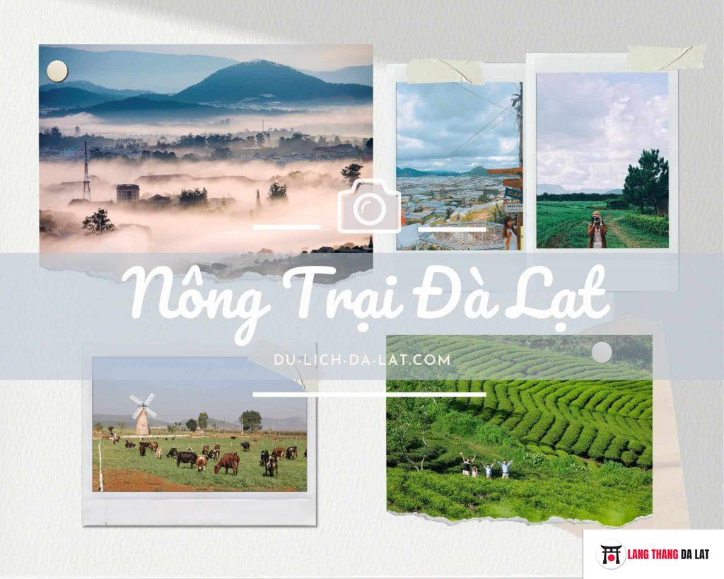 Nông trại Đà Lạt