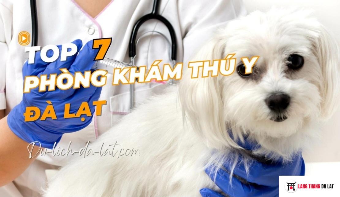 Top 7 phòng khám thú y Đà Lạt uy tín, đang mở cửa