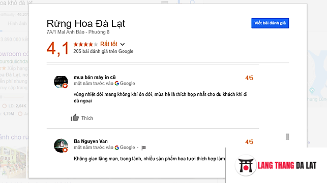 review rừng hoa Đà Lạt