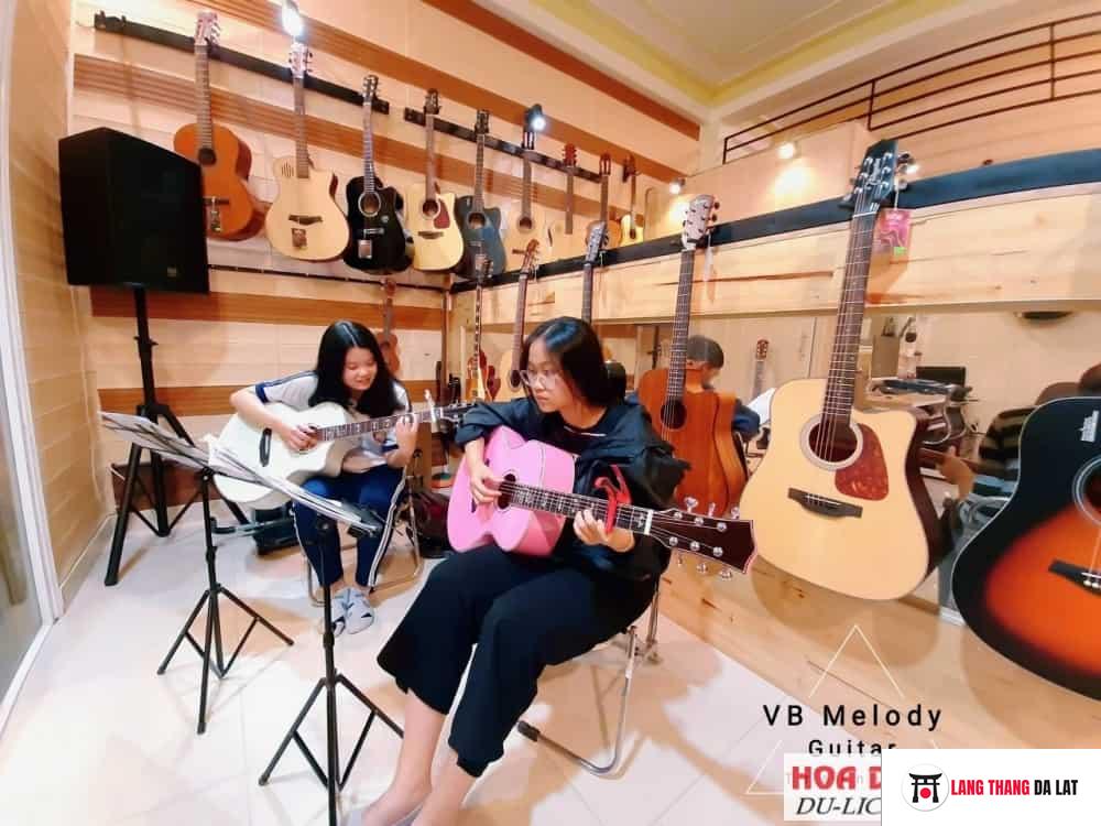 Shop Guitar Việt Bảo