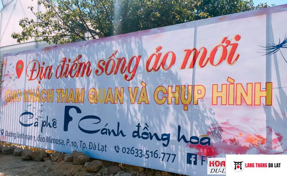 Số điện thoại F cánh đồng hoa Đà lạt