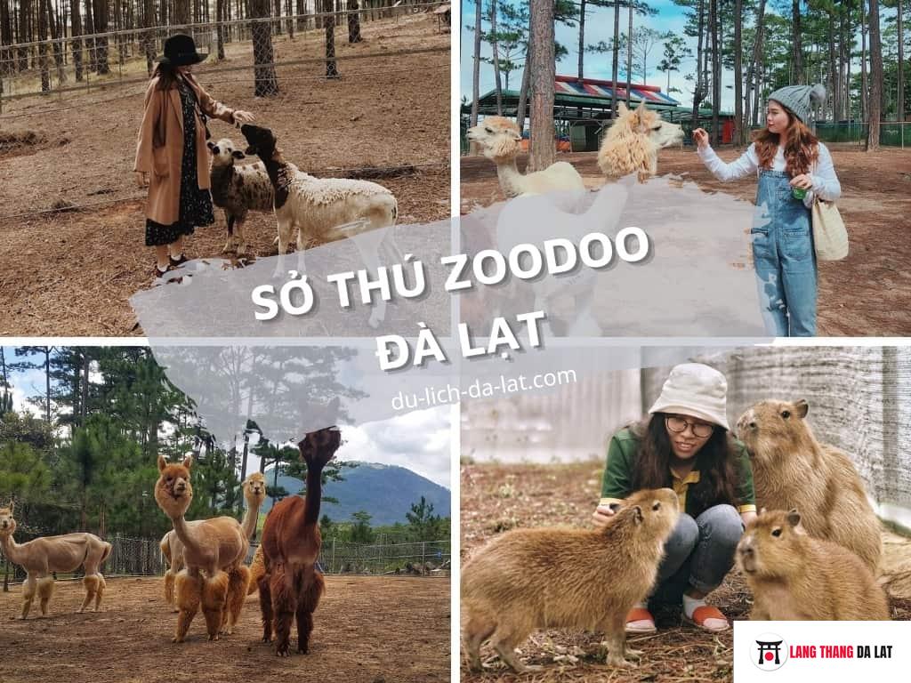 Sở thú Zoodoo Đà Lạt