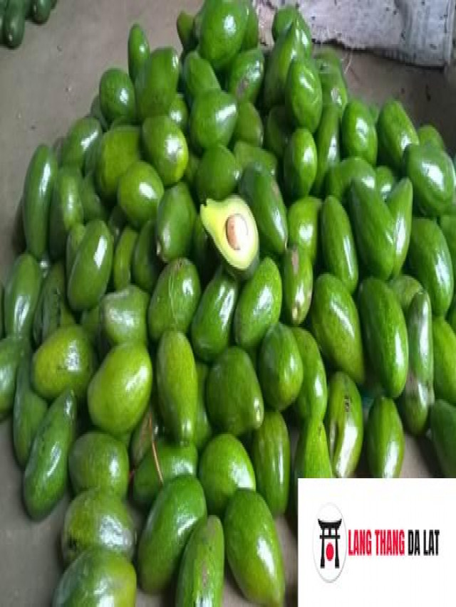 Bơ 034 Đà Lạt Lâm Đồng giá rẻ chỉ từ 15.000đ/ kg. Ship hàng toàn quốc