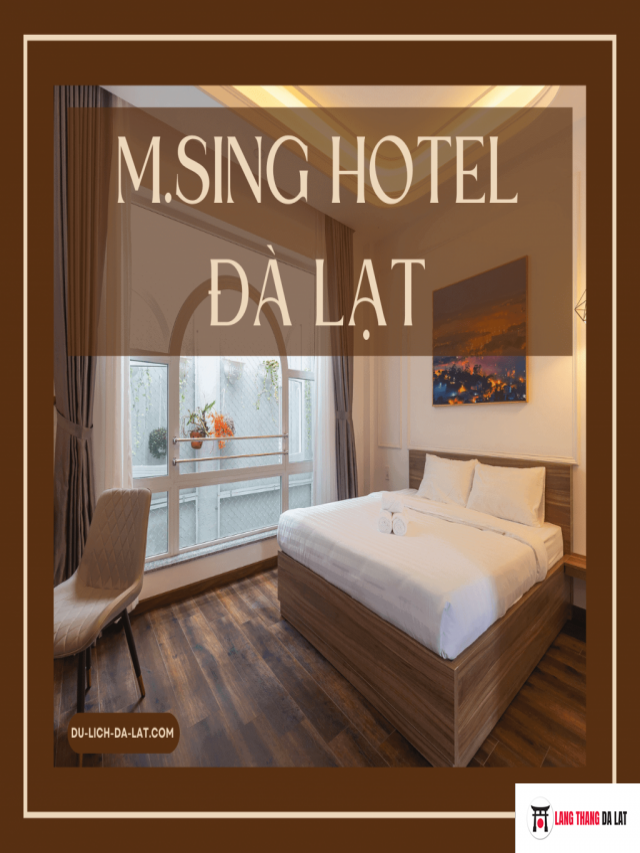 REVIEW M.Sing Hotel Dalat mới xây đẹp ”LUNG LINH”