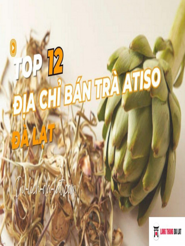 Top 12 địa chỉ bán trà atiso Đà Lạt chất lượng đảm bảo, uy tín