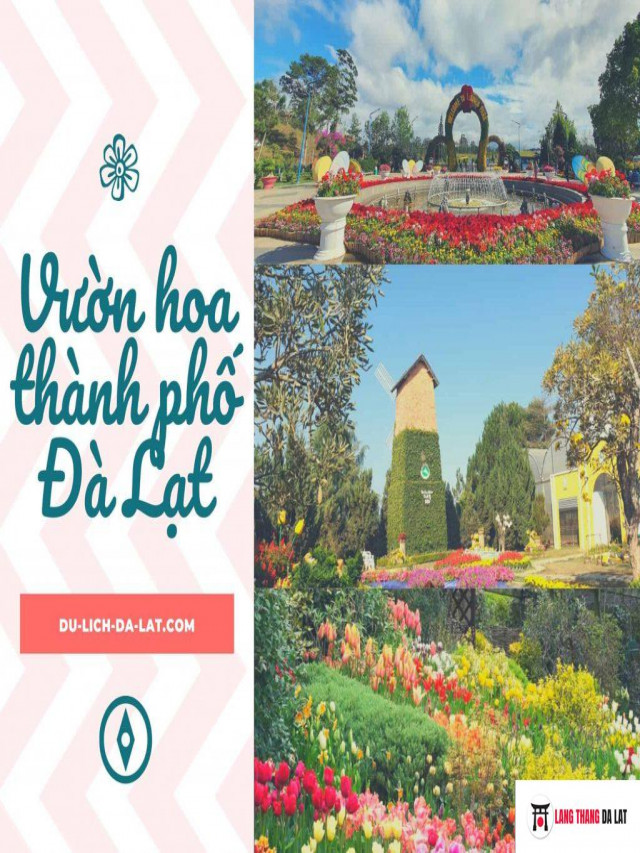 Check in Vườn hoa Thành phố Đà Lạt TUYỆT ĐẸP giữa lòng thành phố