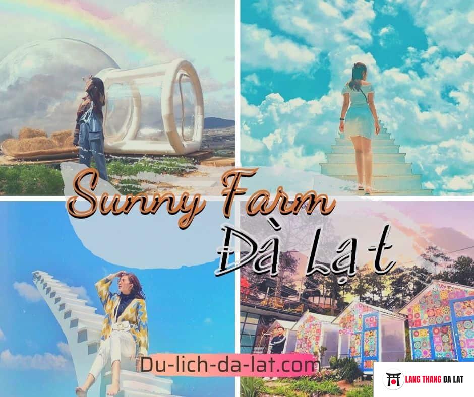 Sunny Farm Đà Lạt