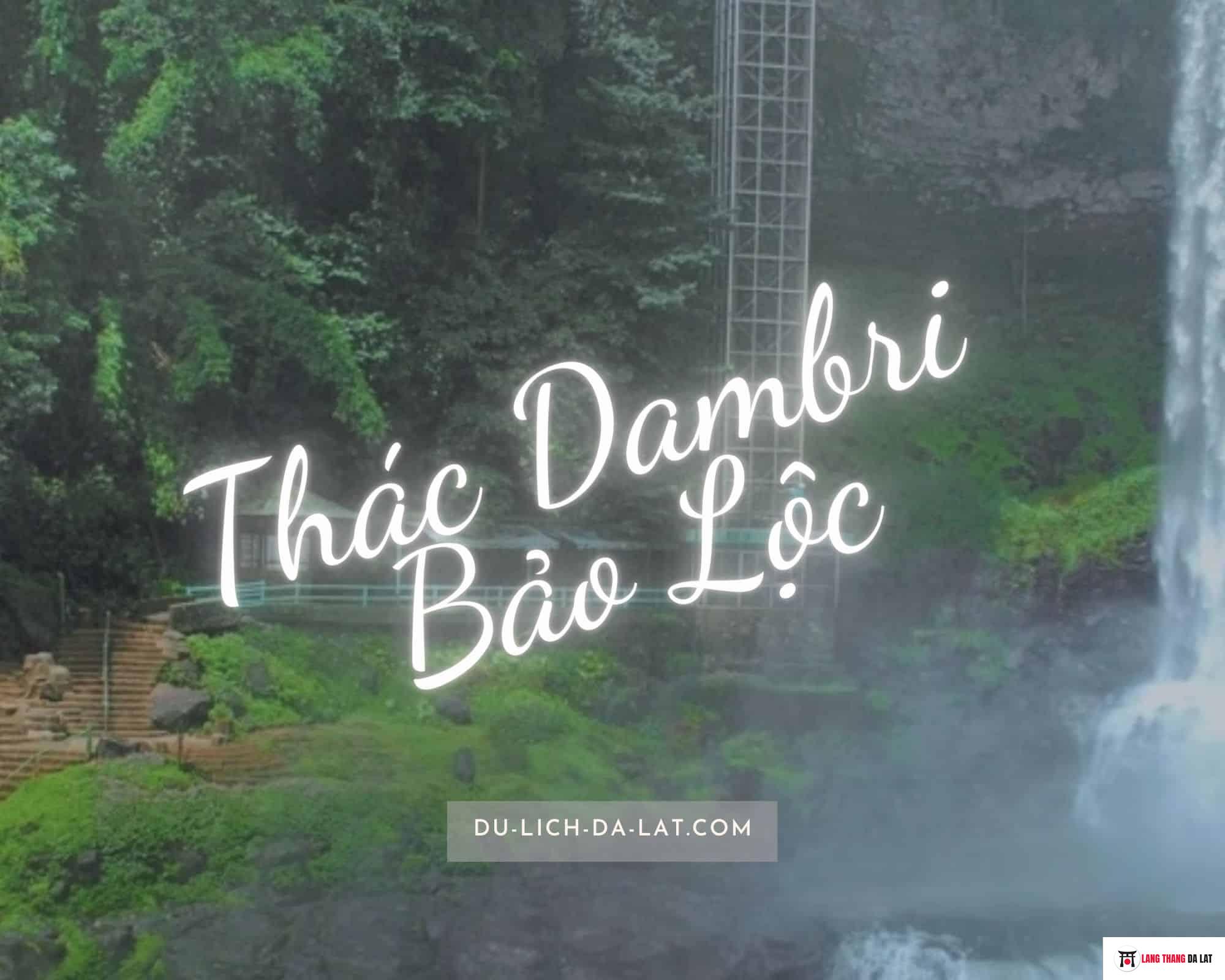 Khu du lịch thác Dambri Bảo Lộc – Lạc vào thác nước cao nhất Lâm Đồng