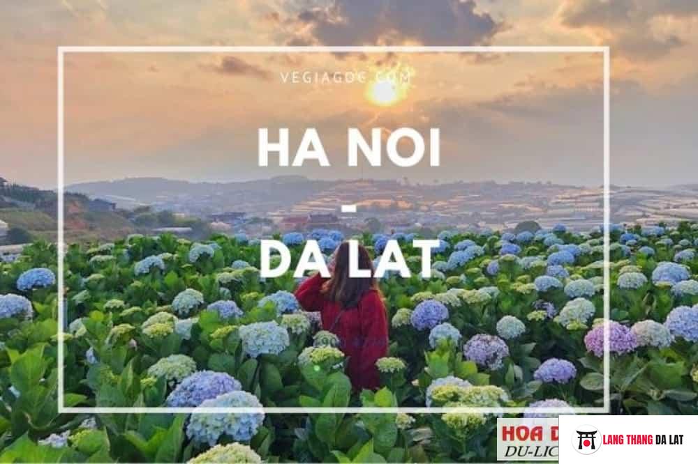 thời gian bay Hà Nội đến Đà Lạt