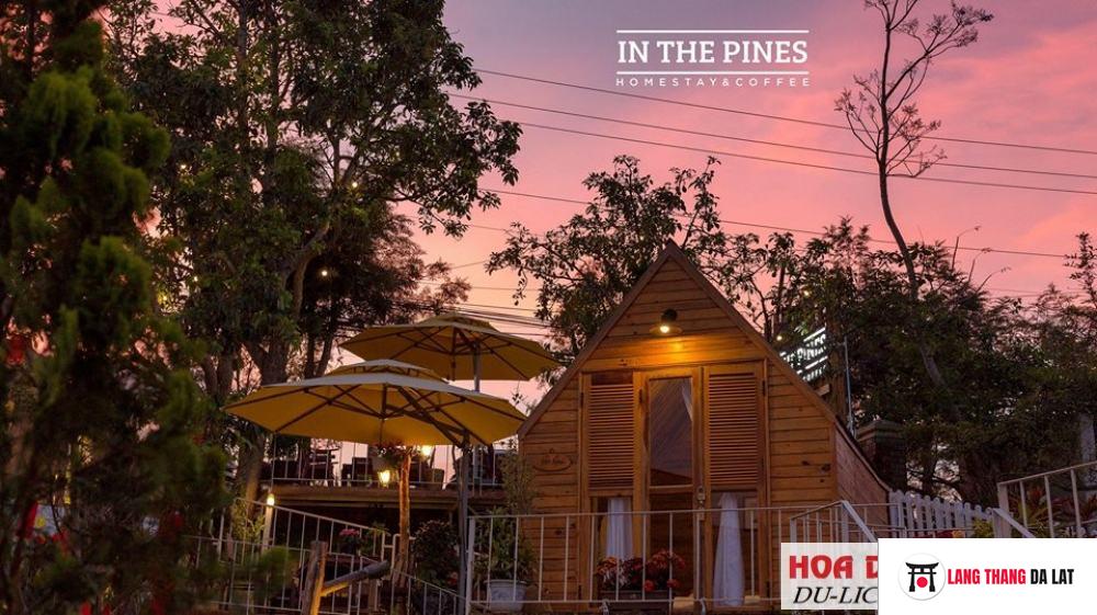 Thông tin InThePines homestay