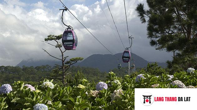 Thông tin liên hệ Cáp Treo Đà Lạt