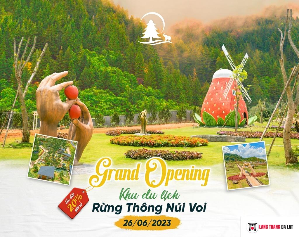 Thông tin liên hệ Khu du lịch Rừng Thông Núi Voi