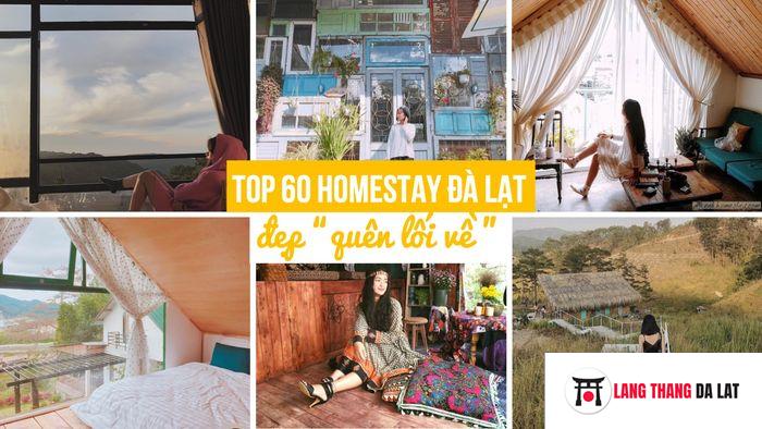 top hostel homestay Đà Lạt