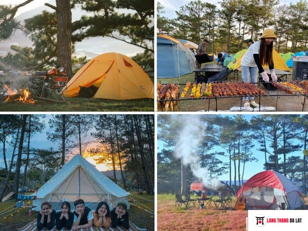 Tour Camping Đồi Cỏ Hồng