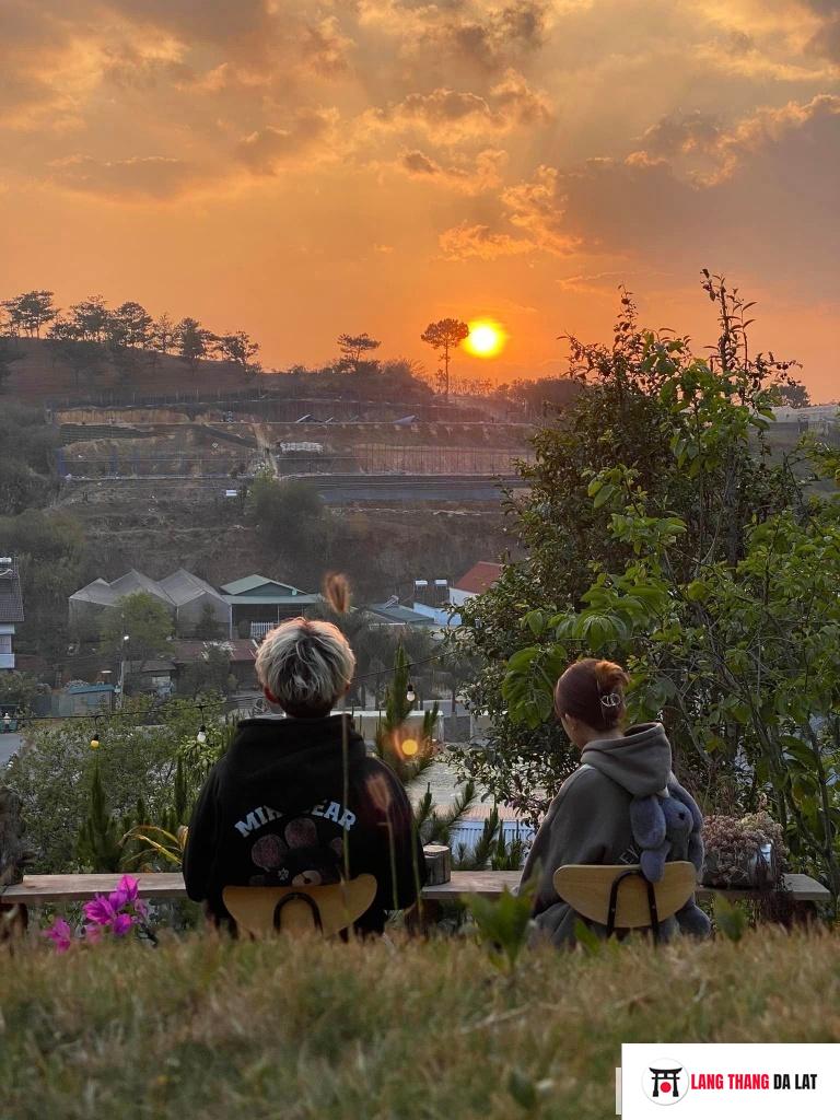 View ngắm hoàng hôn siêu đẹp ở DALAT EDEN