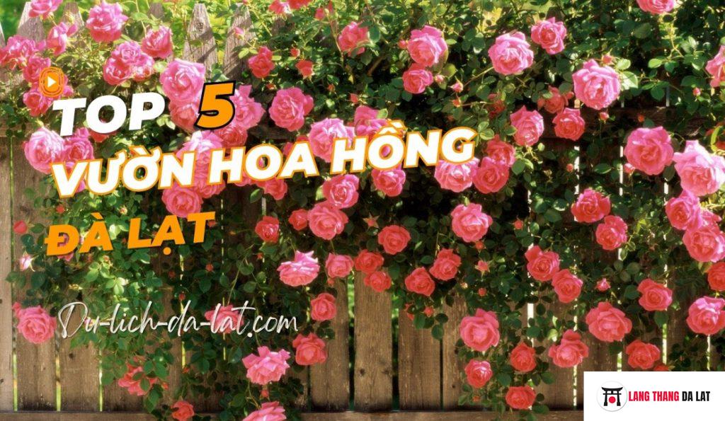 Vườn hoa hồng Đà Lạt