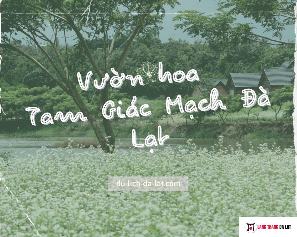 Vườn hoa Tam Giác Mạch